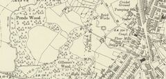 Pondswood Map 1900